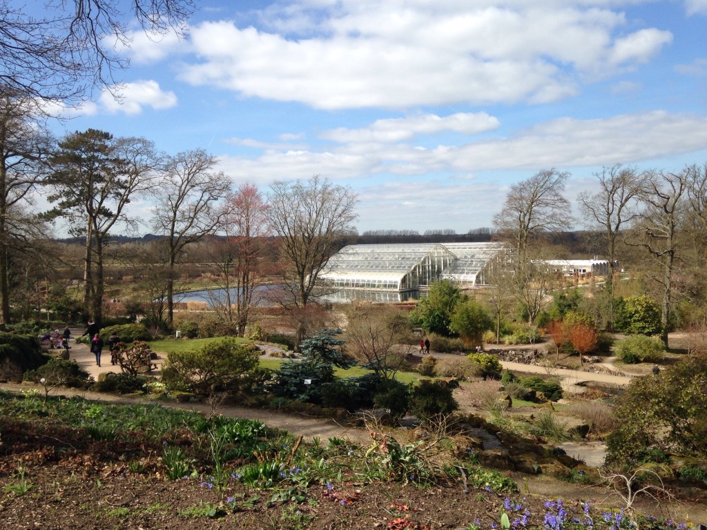 RHS Wisley