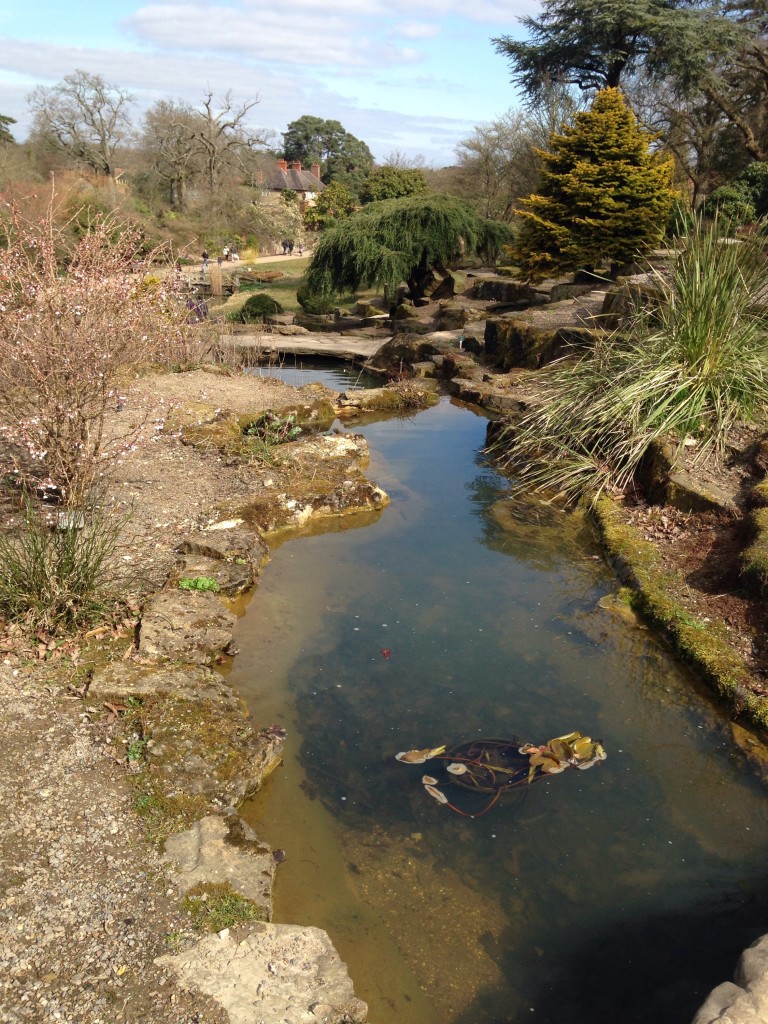 RHS Wisley