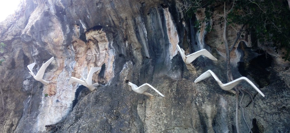 Paradisus Rio de Oro Royal Service gulls