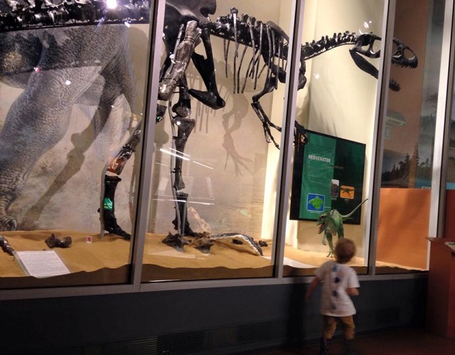 The isle of wight dinosaur museum
