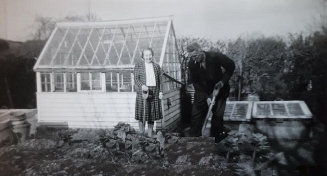 Veg patch at the back in 1963